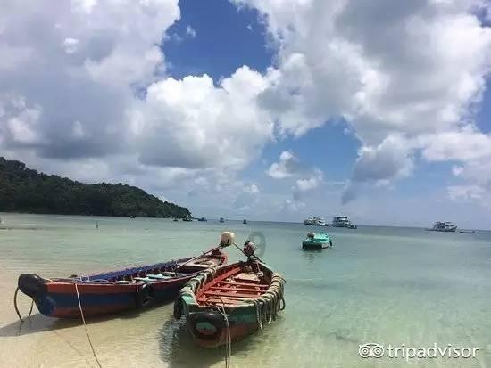 虫虫助手下载